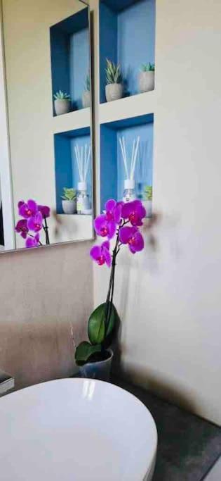Fk House Apartment Milan Bagian luar foto
